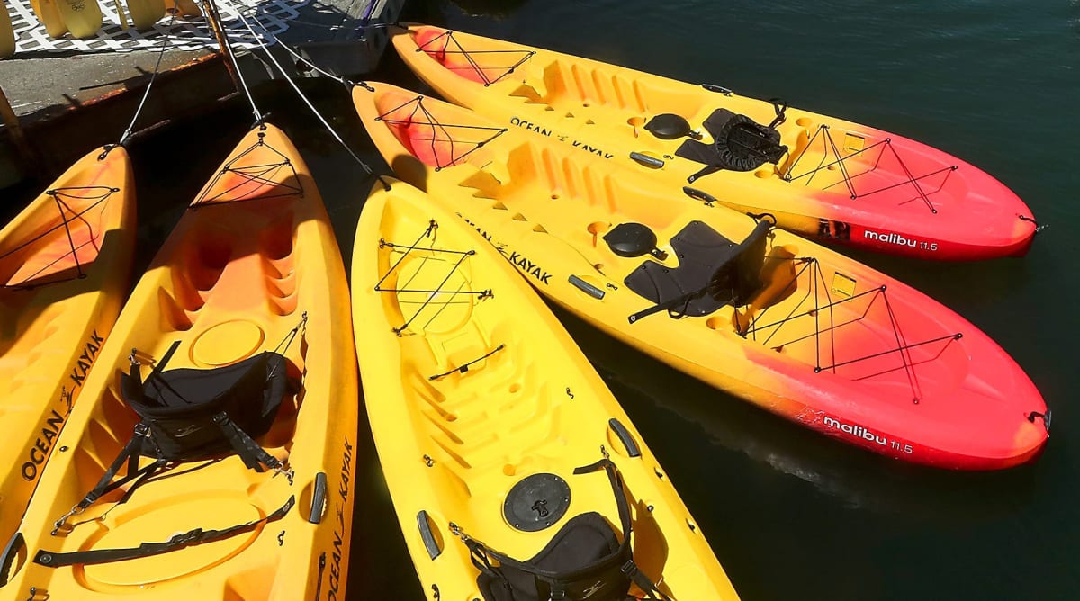 Everyone in Spain Knows Who Kayaker Saúl Craviotto Is, but Not for His Olympic Glory