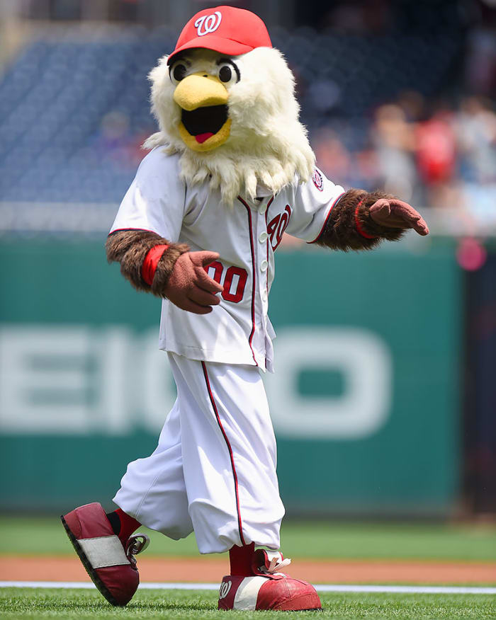 Ranking the MLB Mascots Sports Illustrated