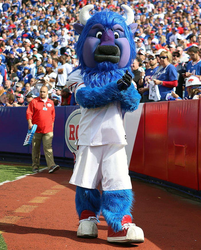Ranking the NFL's Mascots Sports Illustrated