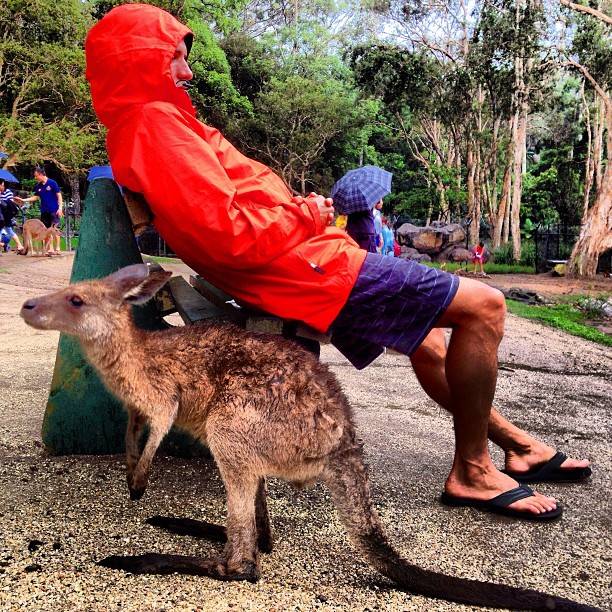 Kelly Slater on Mick Fanning's shark attack, teaching, more Sports