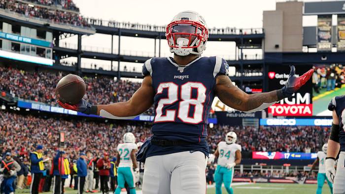 james-white-new-england-patriots