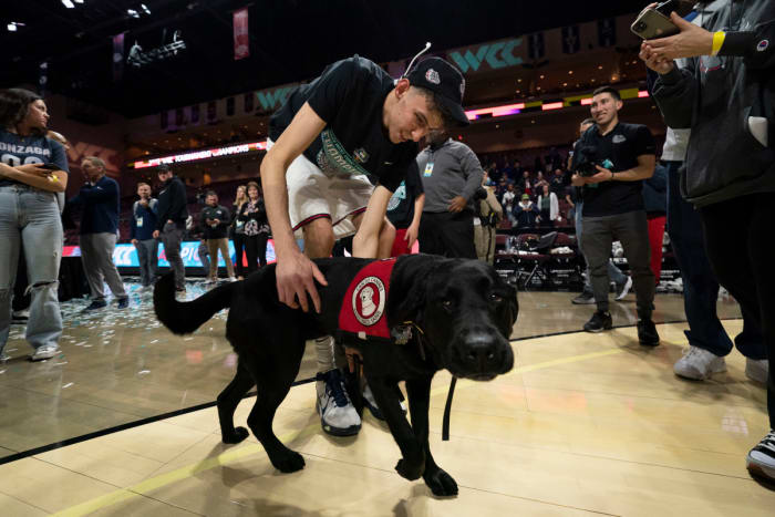 The Holmgren family's trusted Labrador, Slammer, has been a postgame feature after Gonzaga games this season.