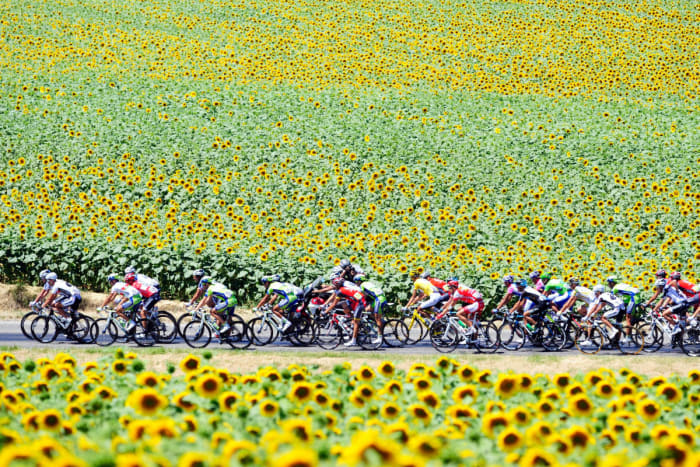 Tour de France (6)