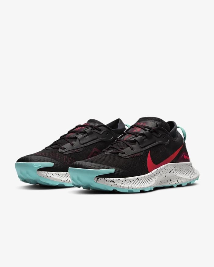 Nike Pegasus Trail 3 GoreTex