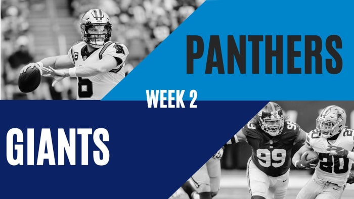 Week 2: Giant - Panther
