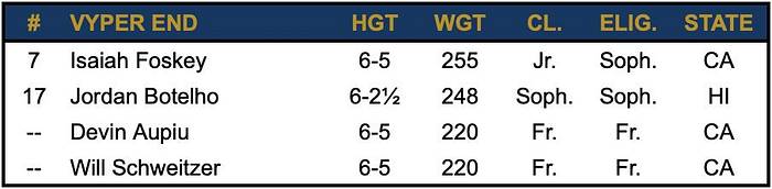 Vyper Depth Chart - Spring