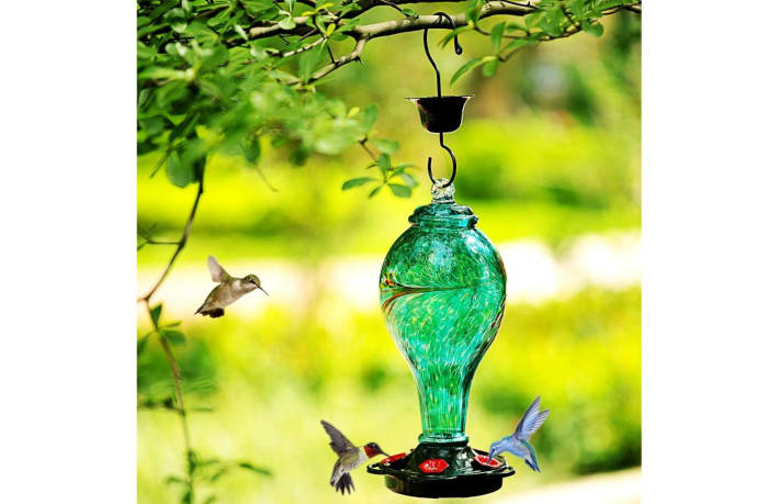 hummingbird feeder