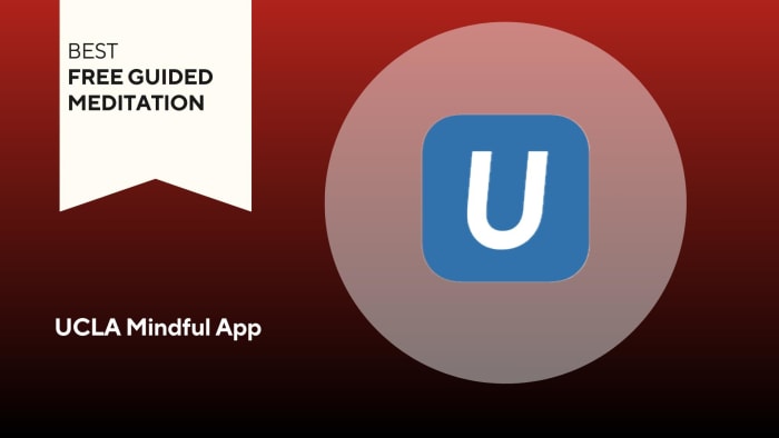 UCLA Mindful App