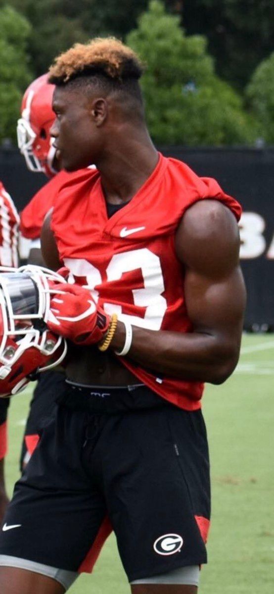 Freshman Wideout George Pickens certainly looks the part