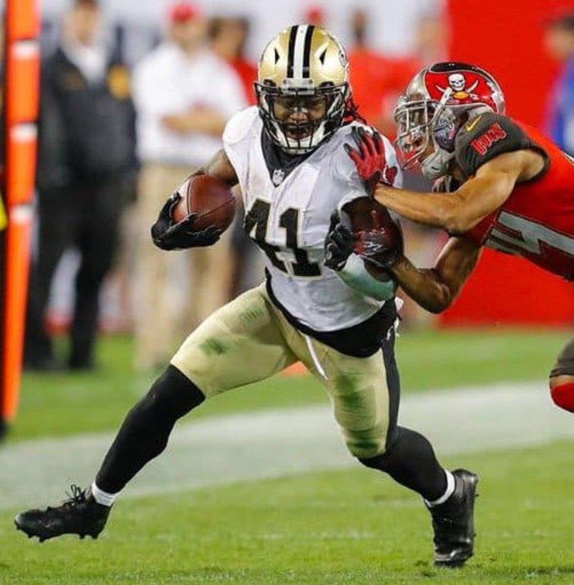  Photo courtesy of The Tampa Bay Times