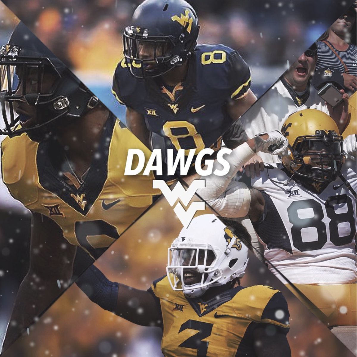 These DAWGS are no Pups - Sports Illustrated West Virginia Mountaineers ...
