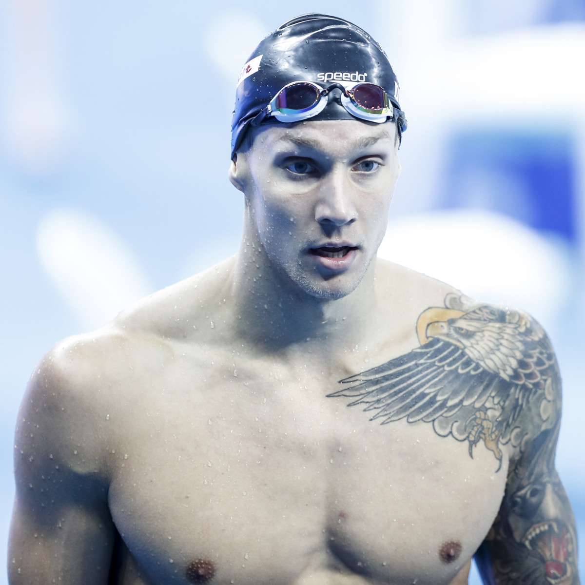 DRESSEL02.jpg