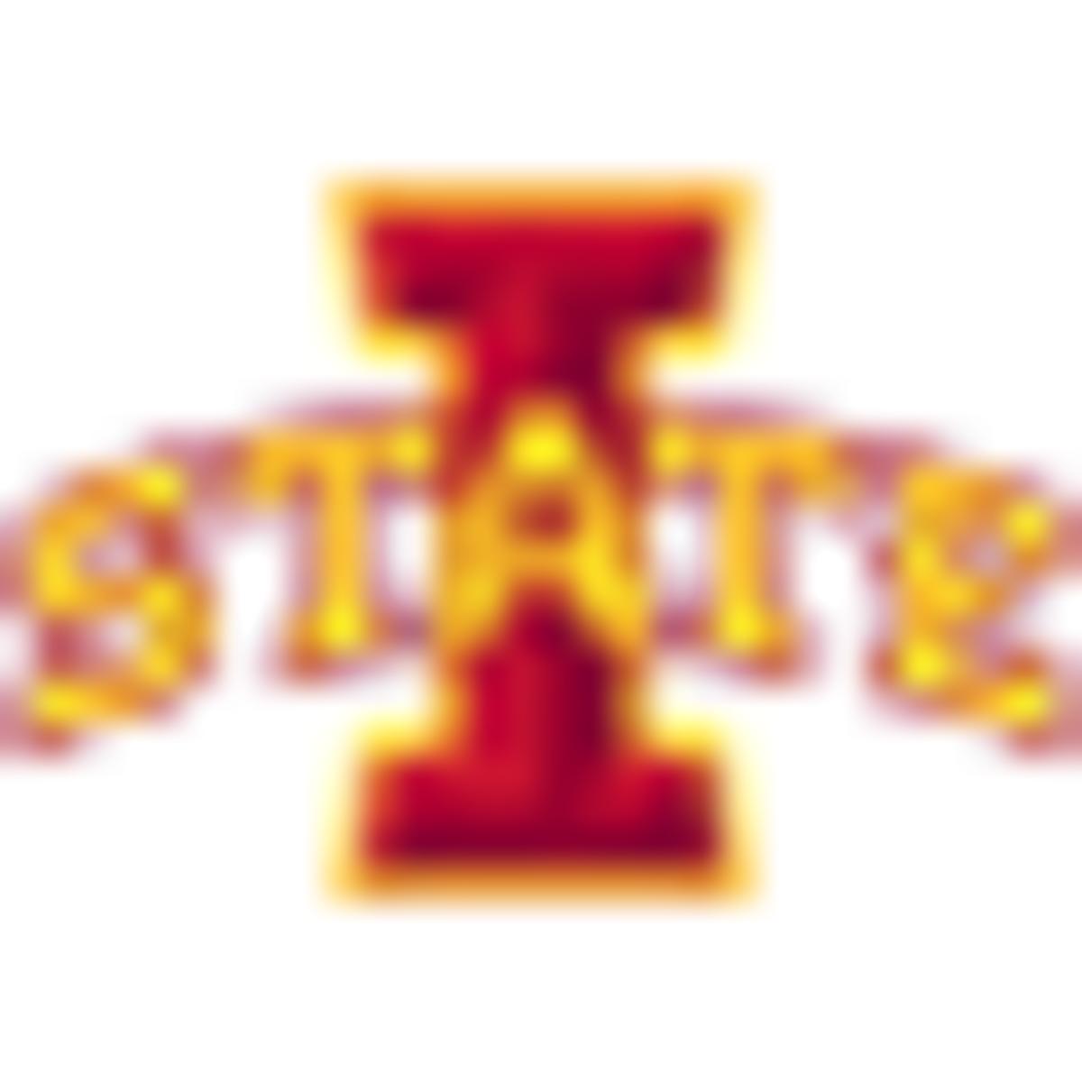 Image placeholder title