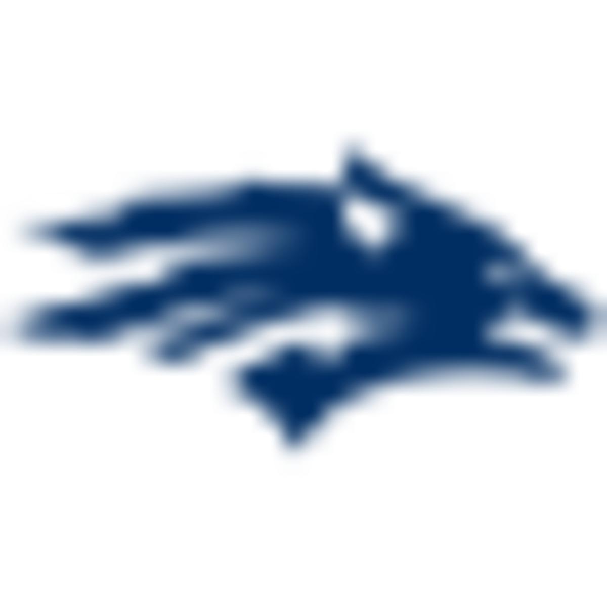 Image placeholder title