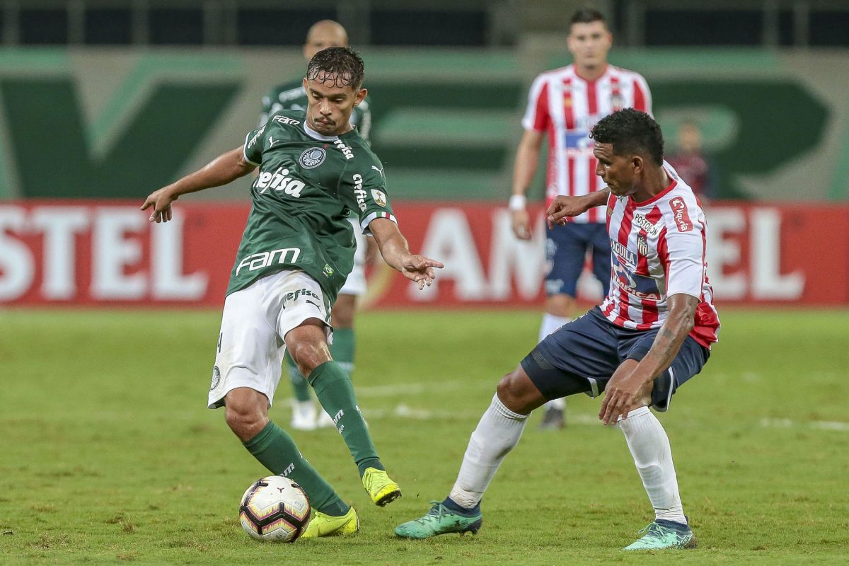 palmeiras-v-junior-barranquilla-copa-conmebol-libertadores-2019-5cc0ac86d608847fc9000003.jpg