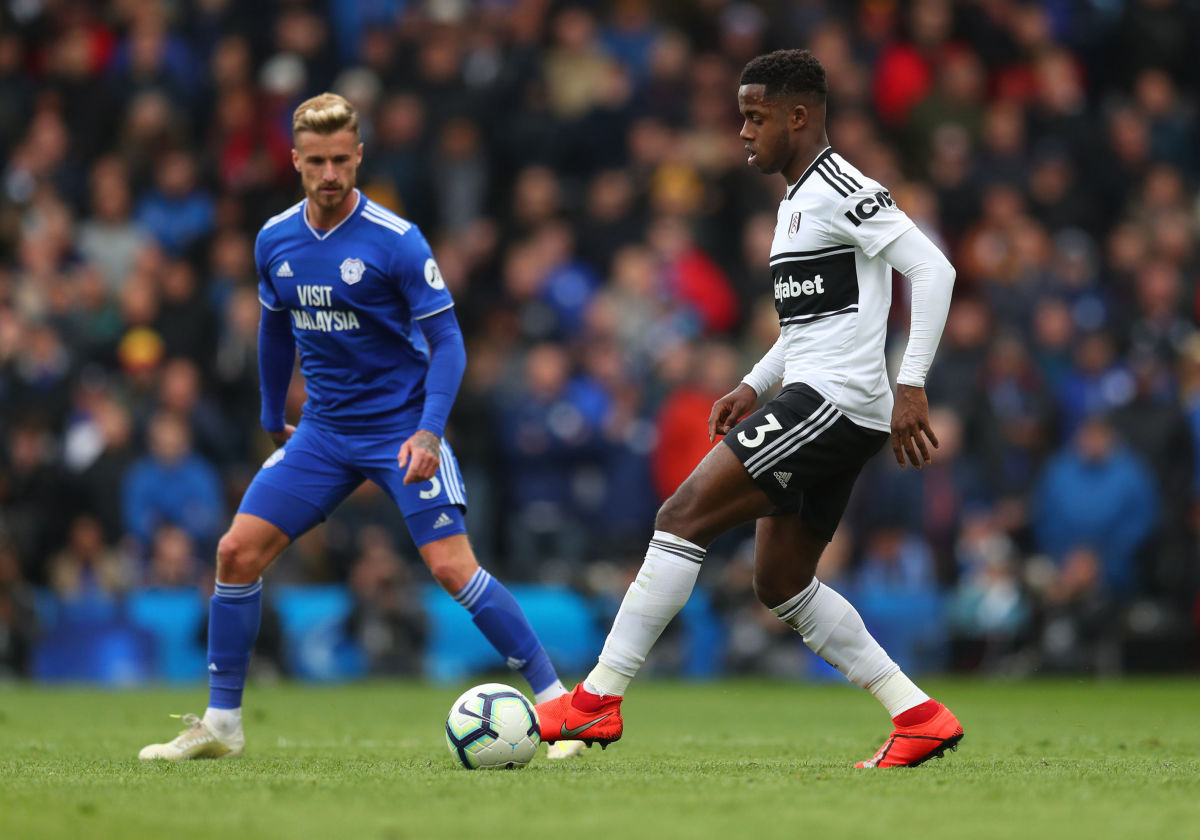 fulham-fc-v-cardiff-city-premier-league-5d04e39364c8a7a54c000001.jpg