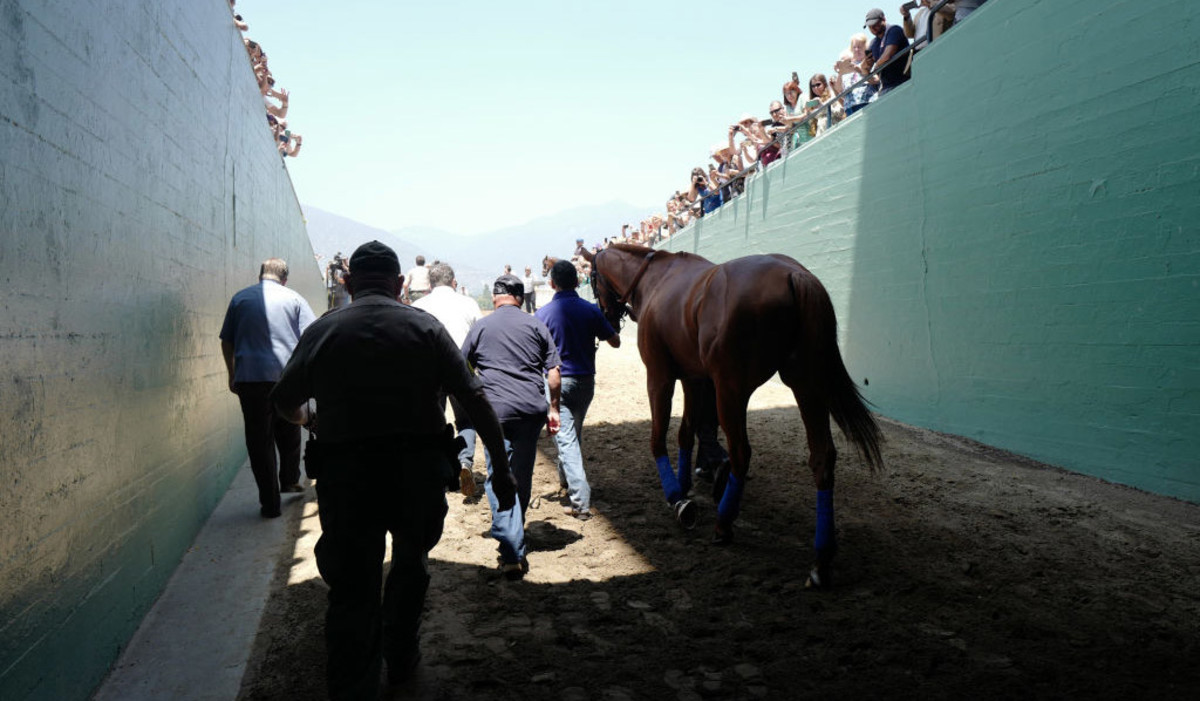 Santa Anita Park 22nd horse suffers fatal injury at racetrack Sports
