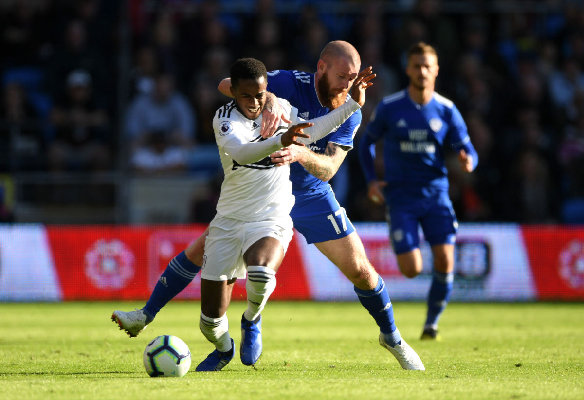 cardiff-city-v-fulham-fc-premier-league-5cc196b00bde22b1e6000001.jpg