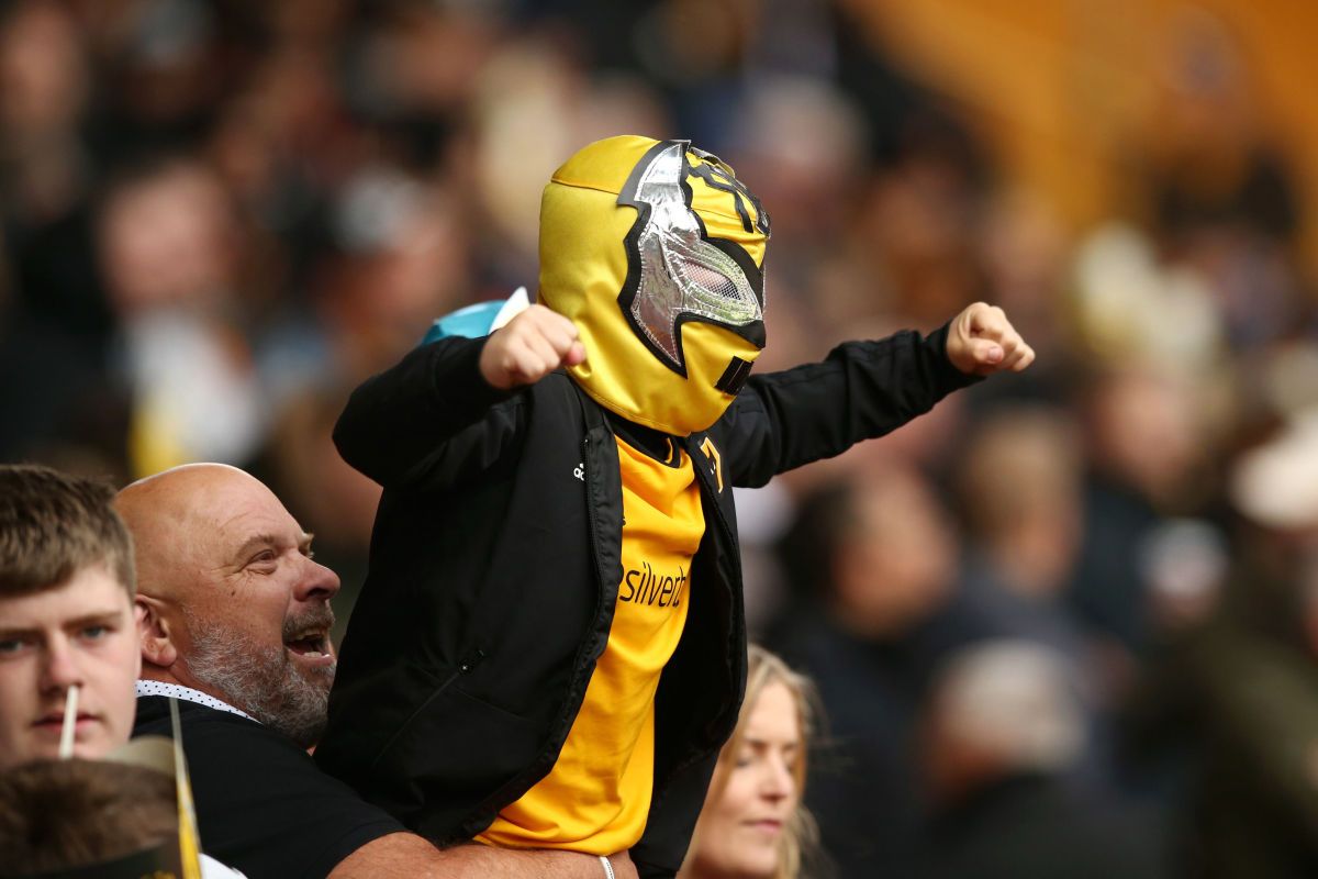 wolverhampton-wanderers-v-fulham-fc-premier-league-5d1de4ae269a00d2d600000d.jpg