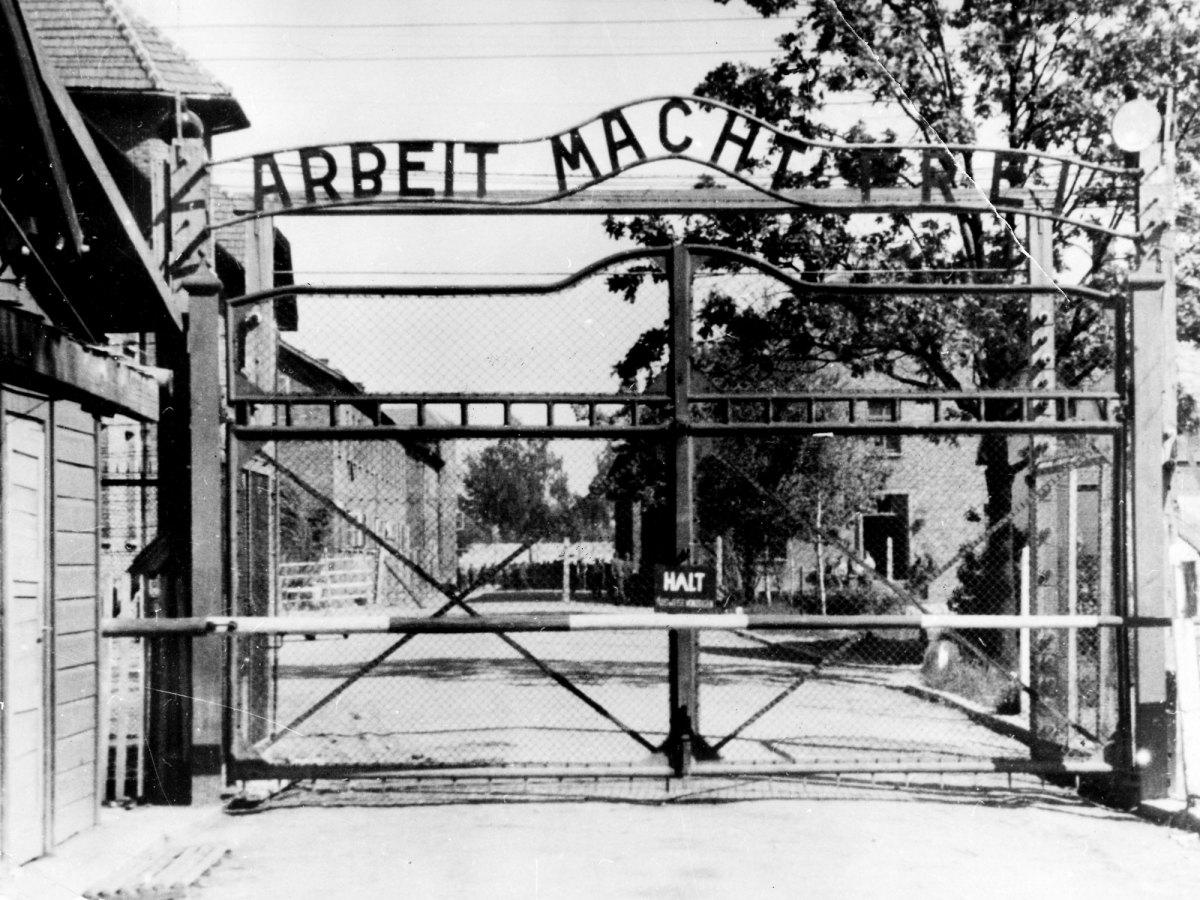 auschwitz-eddy-hamel.jpg