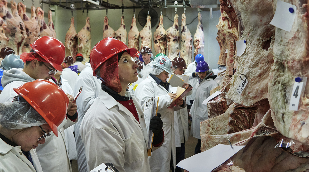 Intercollegiate meat judging Texas Tech dominates Big 12 competition