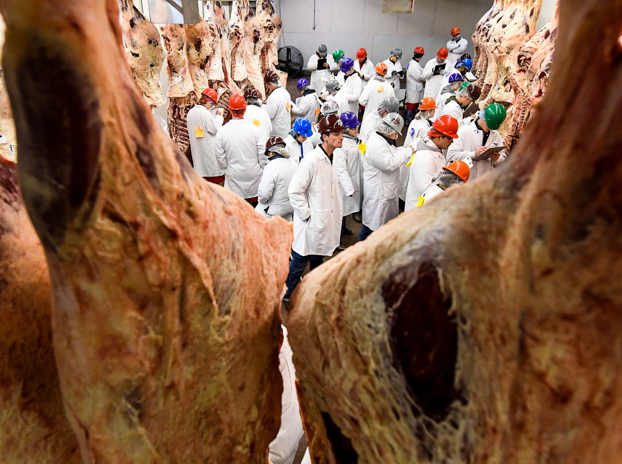 meat-judging-inspectors.jpg