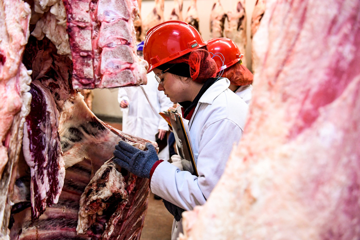 meat-judging-closeup-inspection.jpg