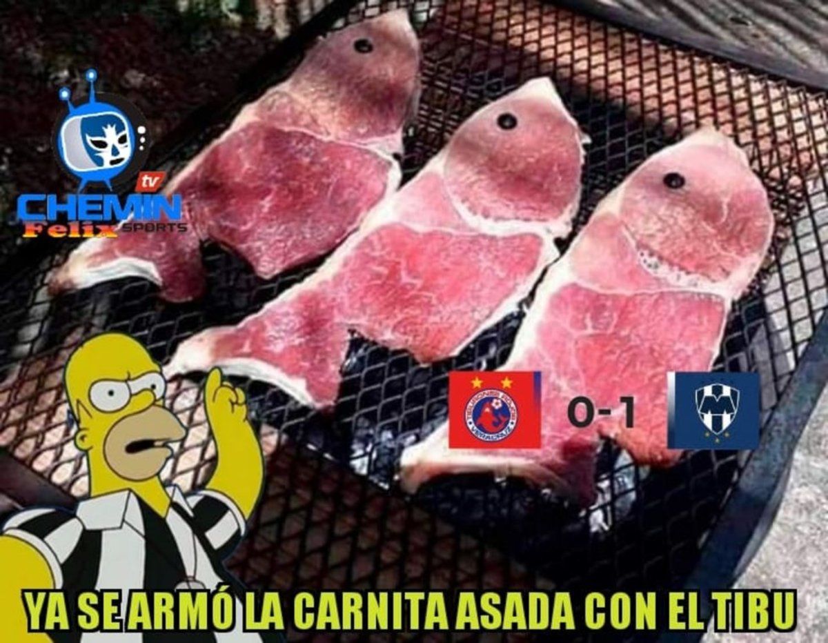 5cecbf9a971d8da40d000002.jpeg