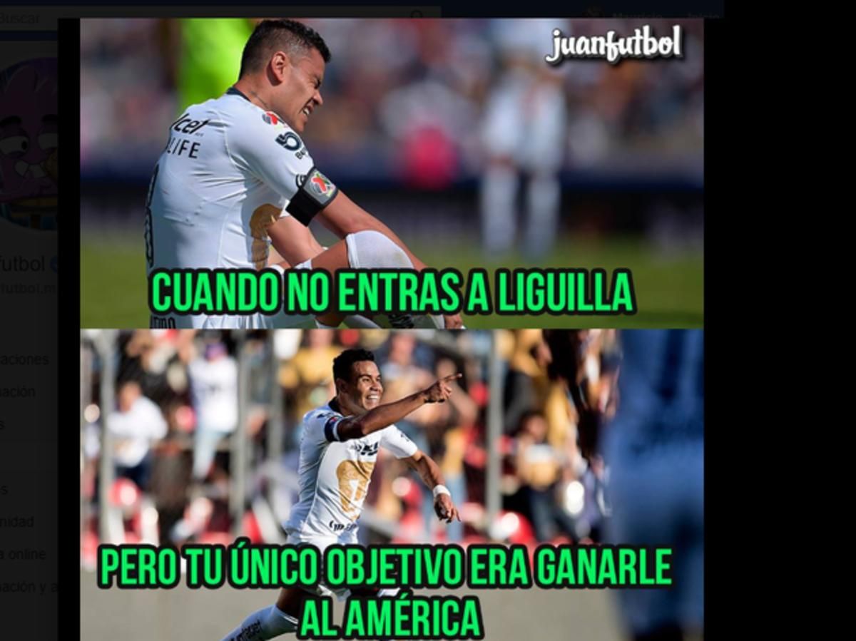 5cecc1db971d8dc986000001.png