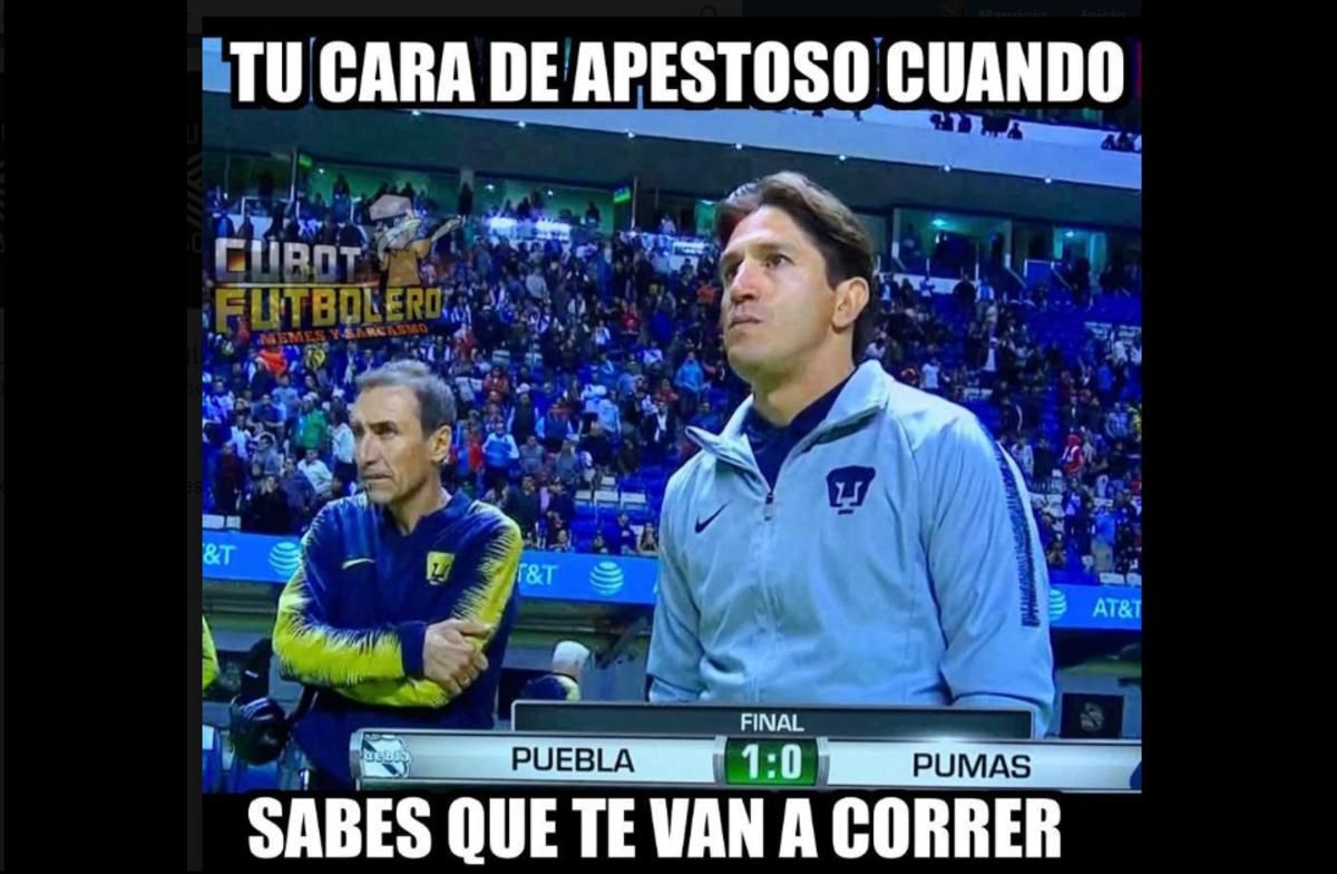 5cecba34a94637191a000001.png