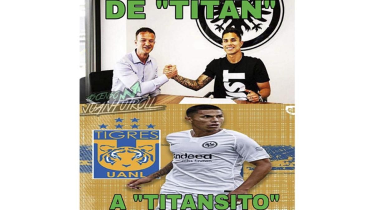 5cecad323ff39985ae000001.png