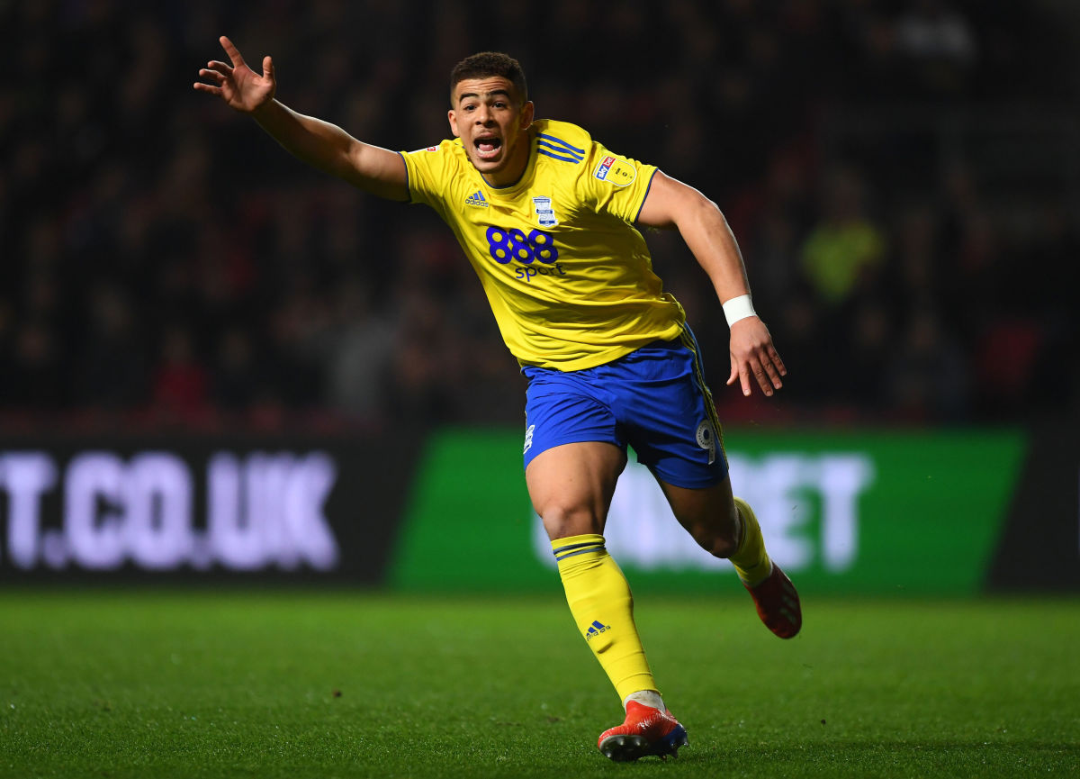 bristol-city-v-birmingham-city-sky-bet-championship-5d00eb57c0420b4e5c000006.jpg