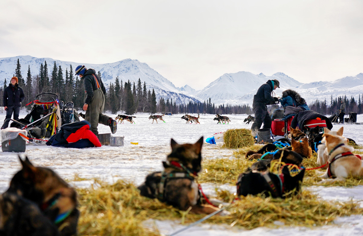 2019_Iditarod_00009.JPG