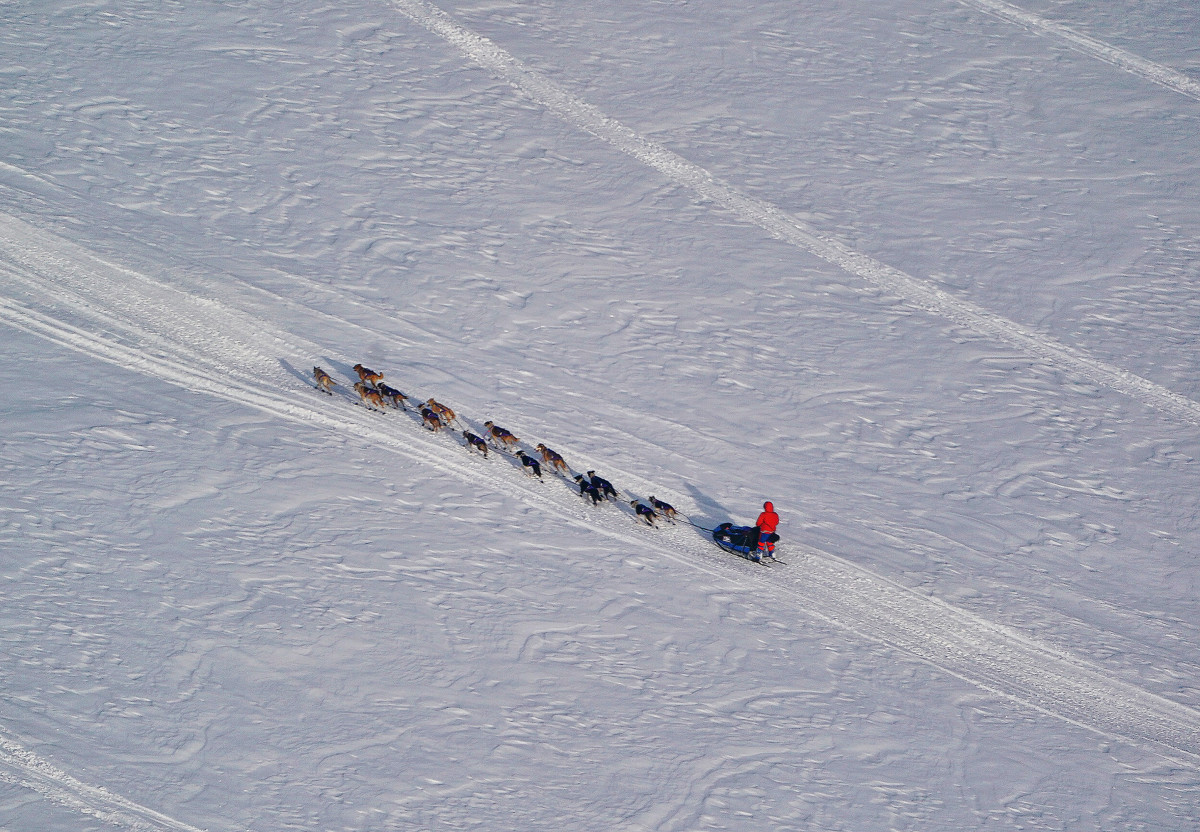 2019_Iditarod_00006.JPG