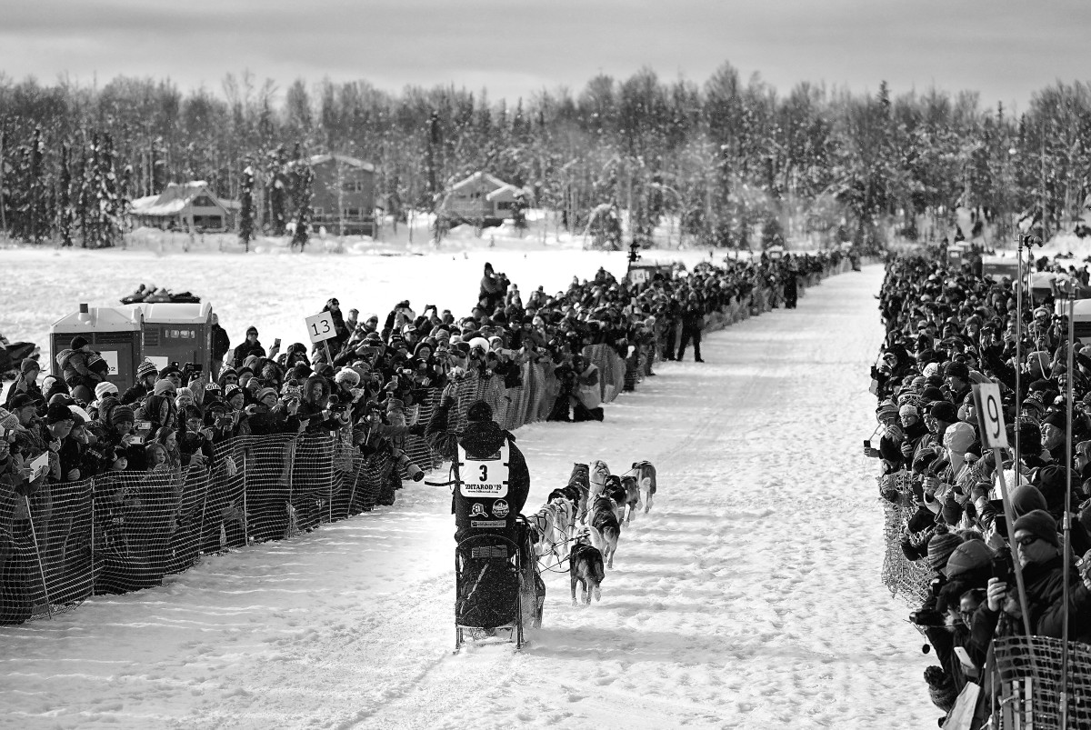 2019_Iditarod_00001.JPG