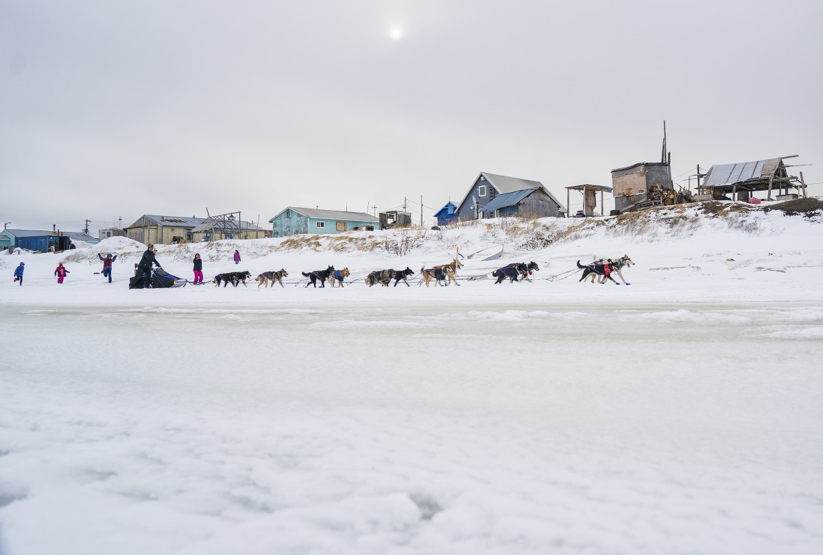 2019_Iditarod_00018.JPG