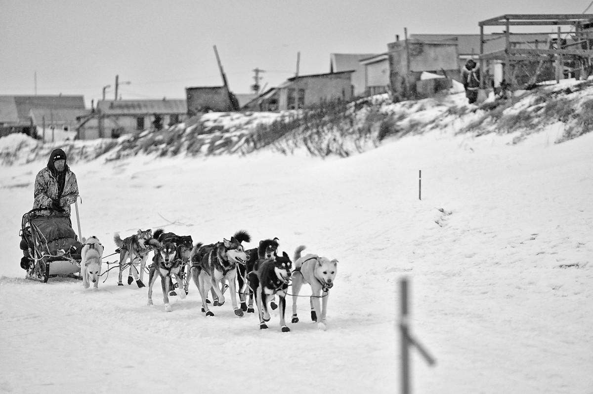 2019_Iditarod_00019_new.jpg
