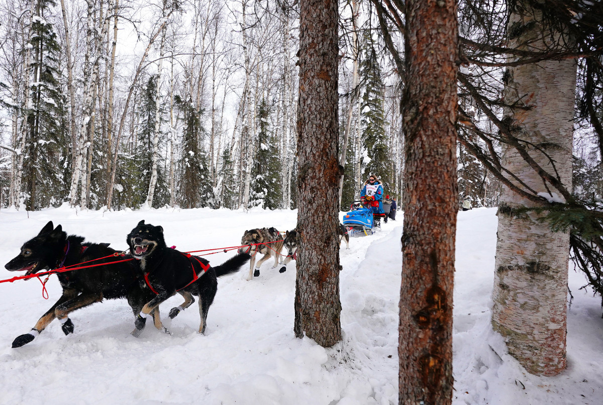 2019_Iditarod_00004_new.jpg