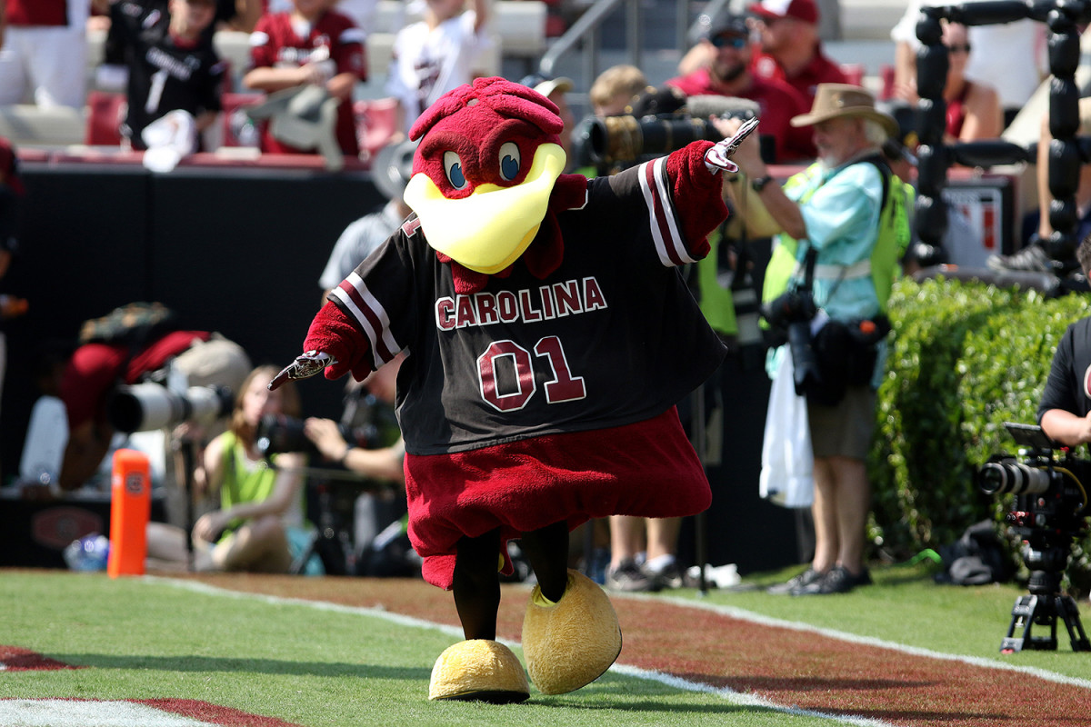 south-carolina-gamecocks-mascot.jpg