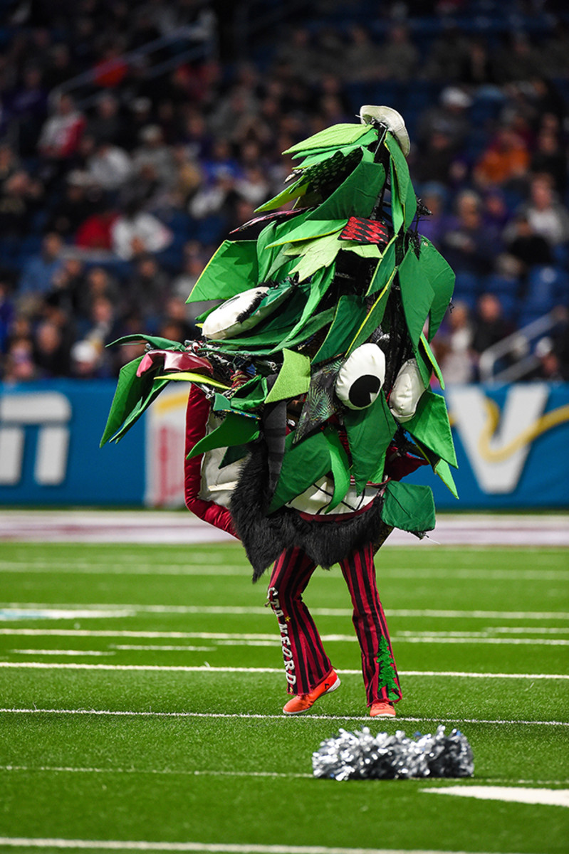 stanford-mascot-tree.jpg