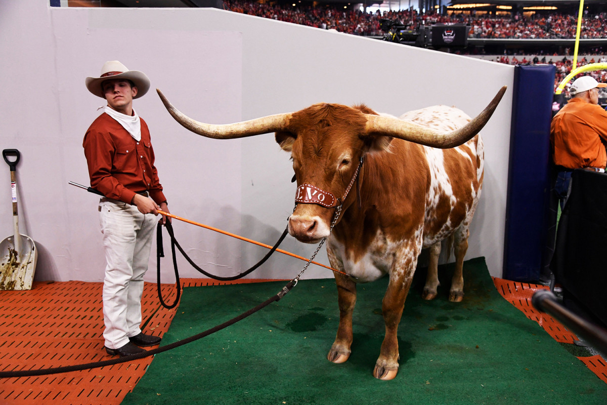 texas-bevo-mascot.jpg