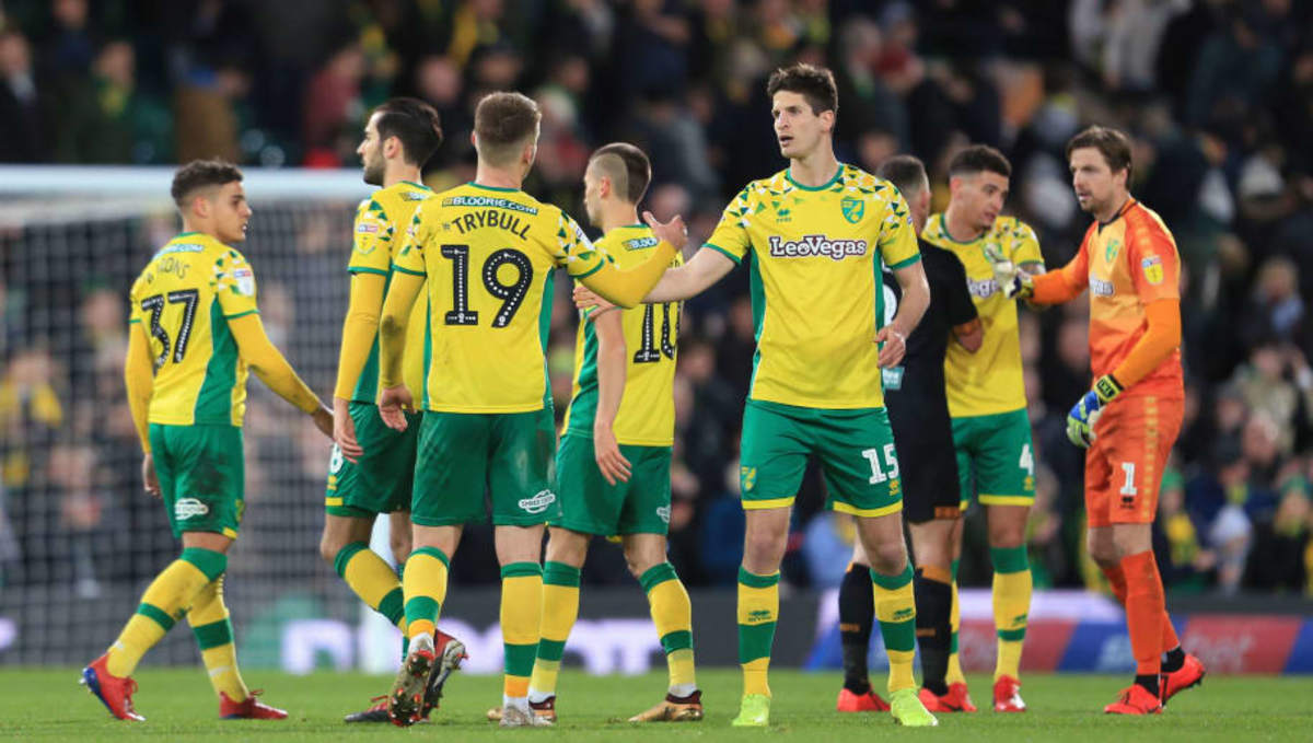 norwich-city-players-celebrate-after-wednesday-s-3-2-win-over-hull-city-5c8be85726f424fc79000002.jpg