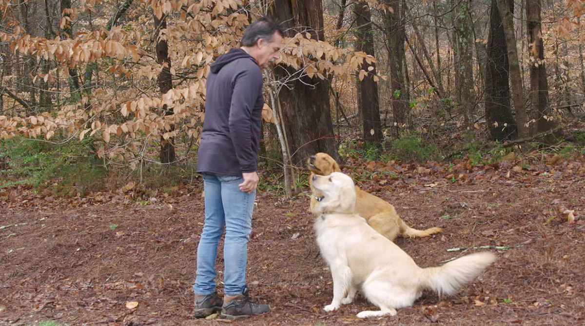 Jeff Fisher and his two dogs, Hunter (left) and Dirk, at his property outside of Nashville.