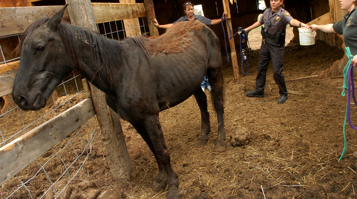 Cleveland radio host to eat horse poop after Browns pick Baker Mayfield