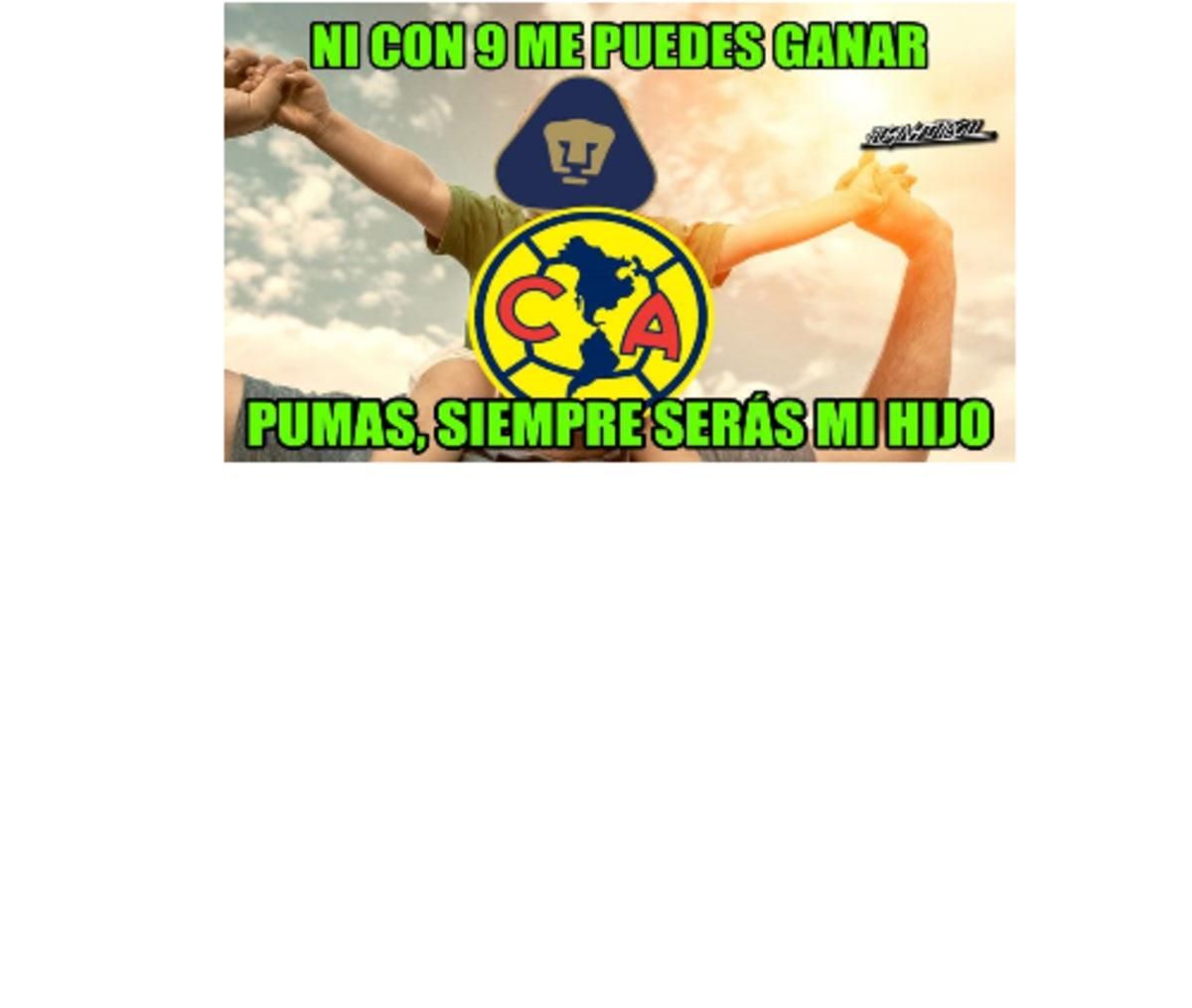 5b835e6ea8654e641a000001.png