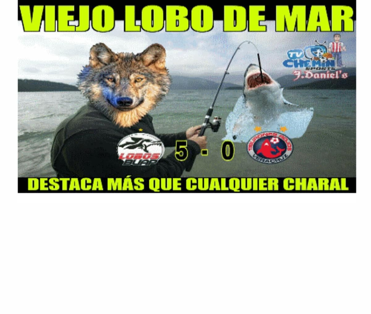 5a937deeda7e23344d000001.png