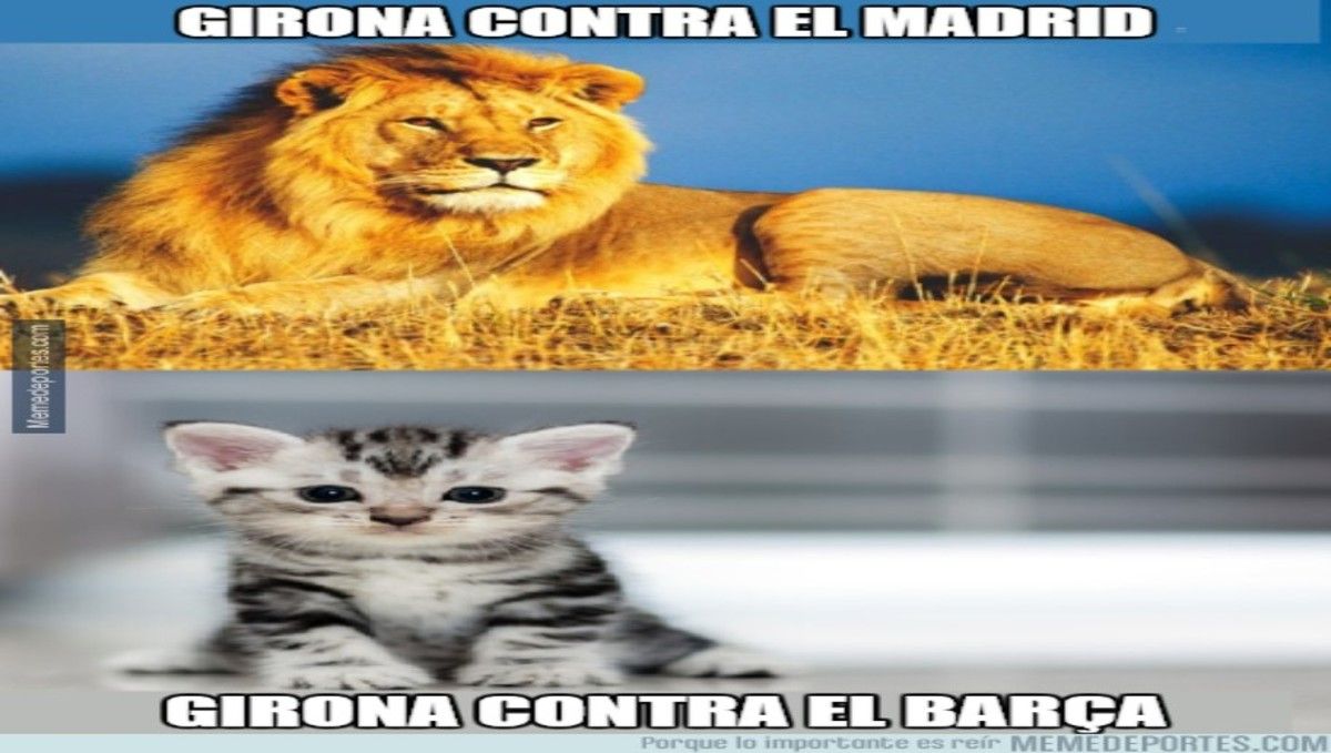 5a91f16c1400338398000002.jpeg