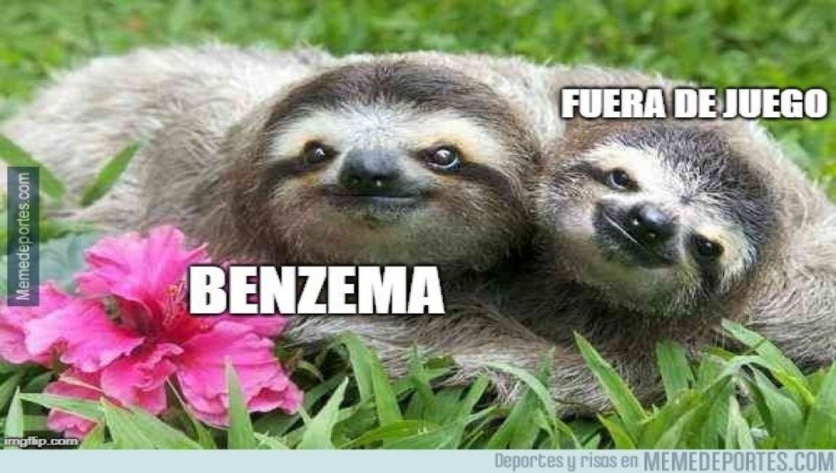 5bfa6c5c6b6cd210b1000001.jpeg