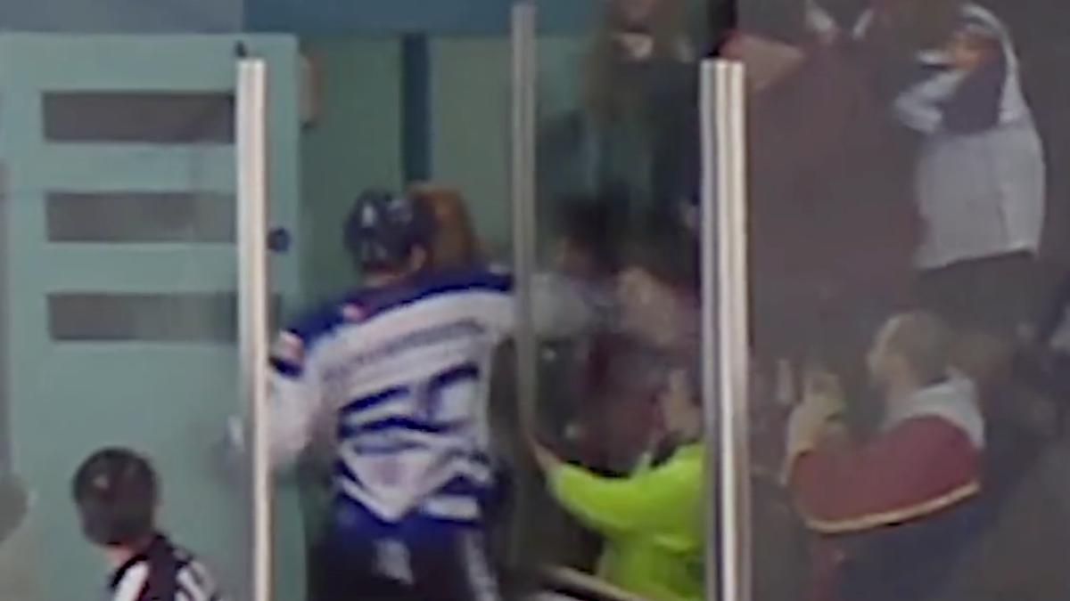 Matt Nickerson EIHL hockey player punches fan (video) Sports Illustrated