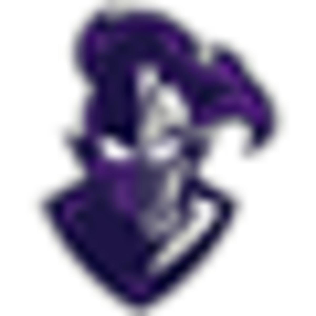 Image placeholder title